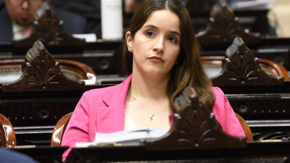 Escándalo: diputada de Funes reconoce que el bloque libertario “no está bien"